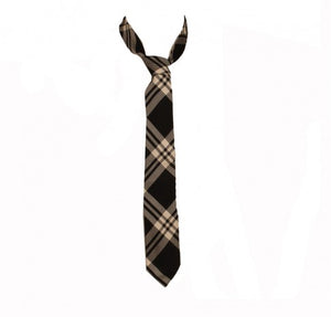 Alexander McQueen Tie