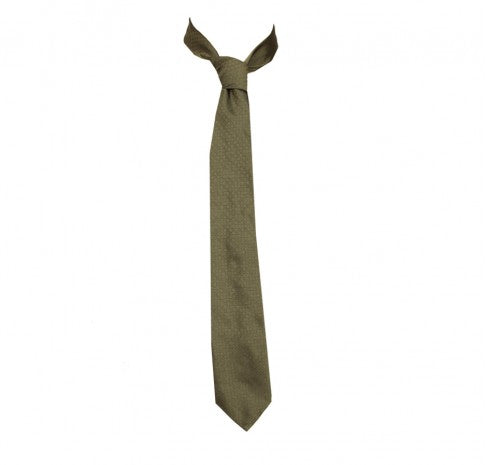 Hackett Sage Tie